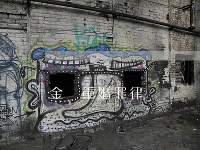 金橋重婚罪律師