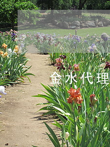 金水代理合同糾紛律師多少錢