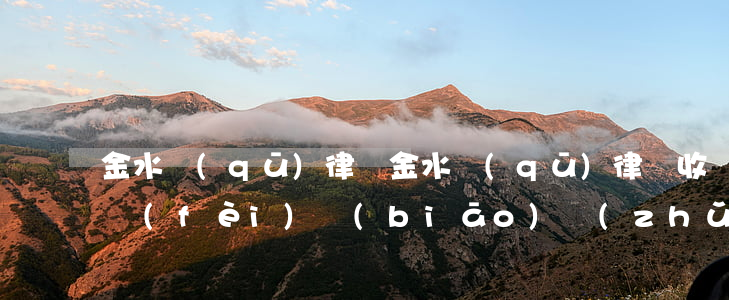 金水區(qū)律師(金水區(qū)律師收費(fèi)標(biāo)準(zhǔn))