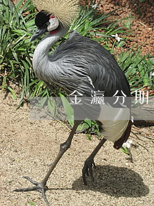 金瀛分期最后一期免息(金瀛分期能借幾筆)