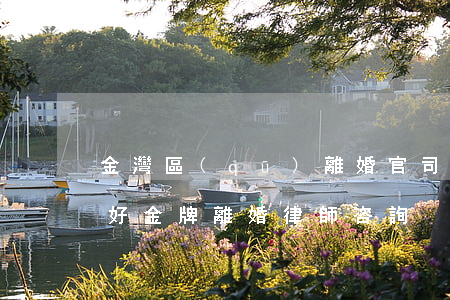 金灣區(qū)離婚官司律師哪個(gè)好(金牌離婚律師咨詢)
