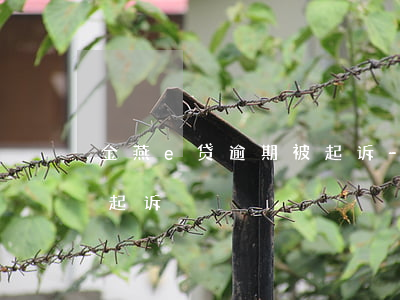 金燕e贷逾期被起诉-金燕e贷逾期多久会起诉
