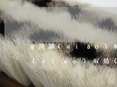 金牌調(diào)解夫妻離婚兩次(金牌調(diào)解結(jié)婚第二天要求離婚)