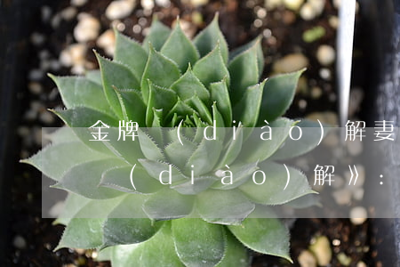 金牌調(diào)解妻子離婚前后(《金牌調(diào)解》:咱們離婚吧)