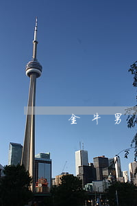 金牛男說離婚怎么辦
