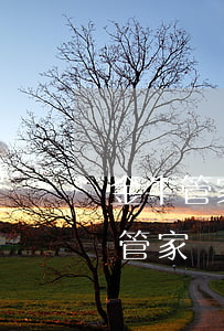 金牛管家網(wǎng)貸逾期會怎樣(金牛管家網(wǎng)貸逾期會怎樣)