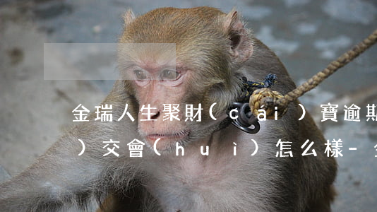 金瑞人生聚財(cái)寶逾期沒(méi)交會(huì)怎么樣-金瑞人生聚財(cái)寶1711一年交一萬(wàn)五