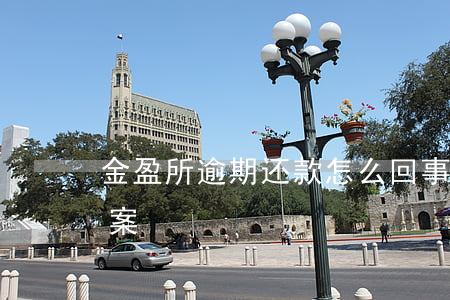 金盈所逾期还款怎么回事(金盈所最新还款方案)