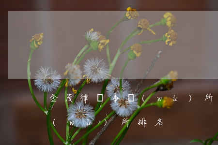 金茂律師事務(wù)所排名(金地律師事務(wù)所排名)