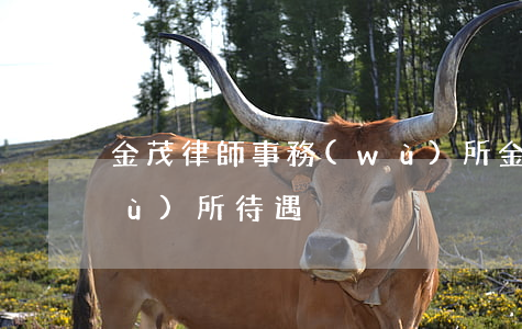 金茂律師事務(wù)所(金茂律師事務(wù)所 待遇)