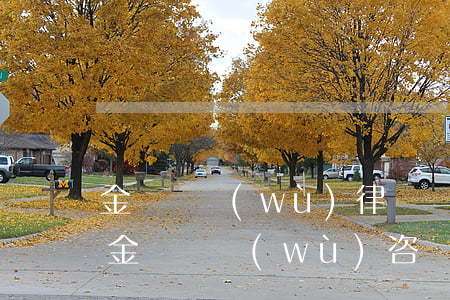 金華債務(wù)律師費(fèi)怎么算(金華債務(wù)咨詢公司)