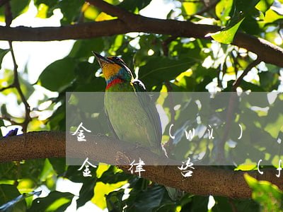 金華債務(wù)糾紛律師費(fèi)用(金華律師咨詢費(fèi))