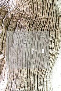 金華地區(qū)磐安縣債務(wù)風(fēng)險(xiǎn)代理律師-磐安欠款律師