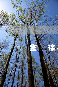 金華徐亮信用卡逾期