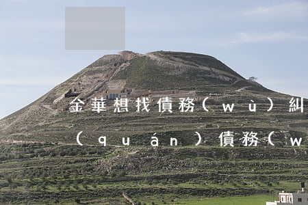 金華想找債務(wù)糾紛律師-金華債權(quán)債務(wù)律師