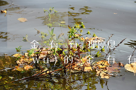 金華有沒有處理停息掛賬的業(yè)務(wù)的-金華有沒有處理停息掛賬的業(yè)務(wù)的公司