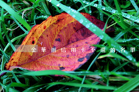 金華辦信用卡不還的名單