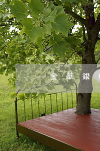 金華銀行信用卡逾期(金華銀行有信用卡嗎)