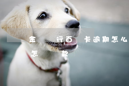 金華銀行百靈卡逾期怎么辦 金華銀行百靈卡怎樣貸款