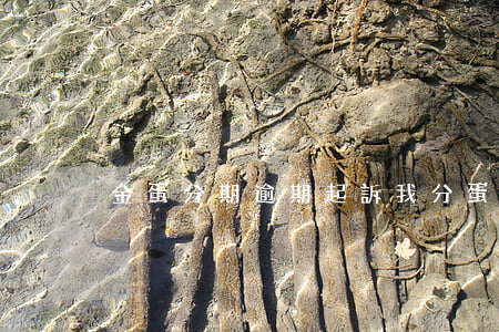 金蛋分期逾期起訴我(分蛋科技逾期)