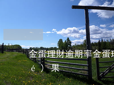 金蛋理財逾期率(金蛋理財最新處理結(jié)果)