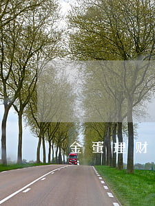 金蛋理财逾期率(金蛋理财最新处理结果)
