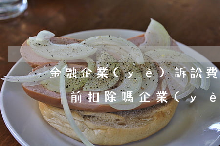 金融企業(yè)訴訟費(fèi)可以在稅前扣除嗎(企業(yè)的訴訟費(fèi)可以扣除嗎)