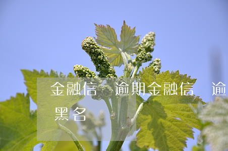 金融信貸逾期(金融信貸逾期會(huì)上黑名單嗎)