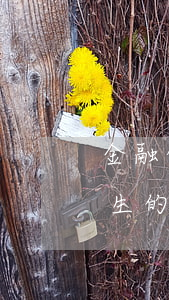 金融停息挂账是什么意思(停息挂账对已经产生的贷款有什么影响)
