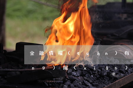 金融債權(quán)有哪些防范風(fēng)險(xiǎn)的措施