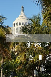 金融公司可以消除逾期嗎-現(xiàn)在銀行可以消除逾期嗎
