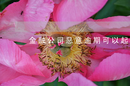 金融公司惡意逾期可以起訴嗎