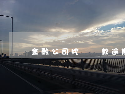 金融公司挖機貸款逾期(挖掘機貸款)