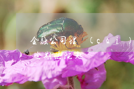 金融公司理財(cái)產(chǎn)品逾期法院起訴