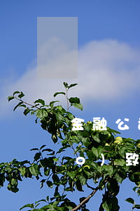 金融公司貸款逾期法院(因貸款公司導(dǎo)致逾期)