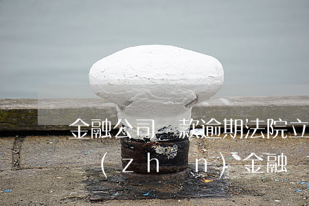 金融公司貸款逾期法院立案標(biāo)準(zhǔn)(金融貸款逾期多少金額會(huì)被起訴)