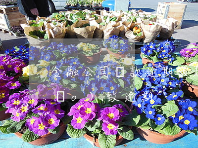 金融公司貸款逾期被起訴(因貸款公司導(dǎo)致逾期)