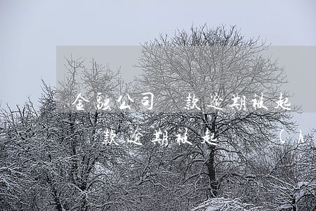 金融公司貸款逾期被起訴怎么辦 向金融公司貸款逾期被起訴會(huì)不會(huì)坐牢