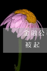 金融公司車貸逾期會起訴嗎(欠金融公司車貸被起訴了)