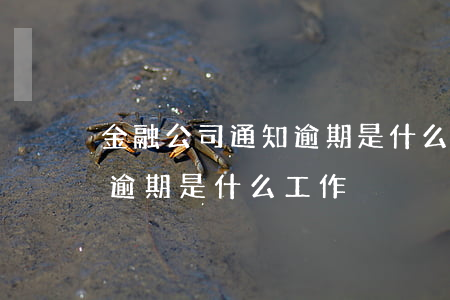金融公司通知逾期是什么工作(金融公司通知逾期是什么工作)