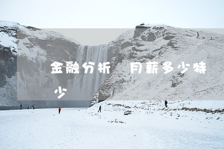 金融分析師月薪多少(特許金融分析師月薪多少)
