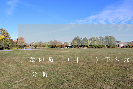 金融危機(jī)下公允價(jià)值的分析