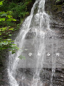 金融合同糾紛是什么