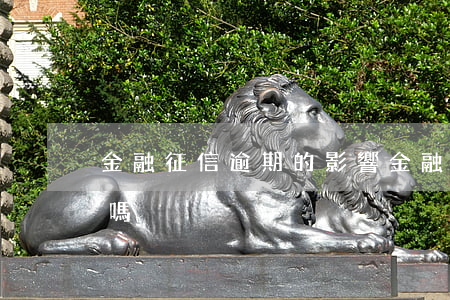 金融征信逾期的影響(金融征信逾期的影響大嗎)