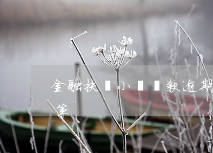 金融扶貧小額貸款逾期(金融扶貧小額貸款政策)