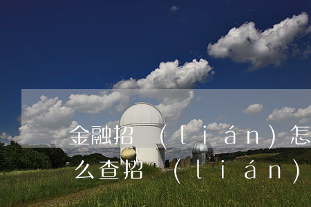 金融招聯(lián)怎么查自己欠的錢(怎么查招聯(lián)金融有沒貸款)
