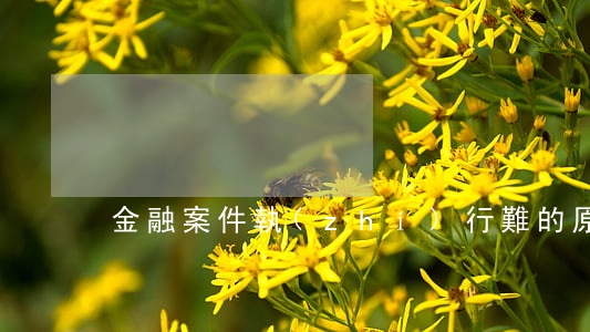 金融案件執(zhí)行難的原因是什么