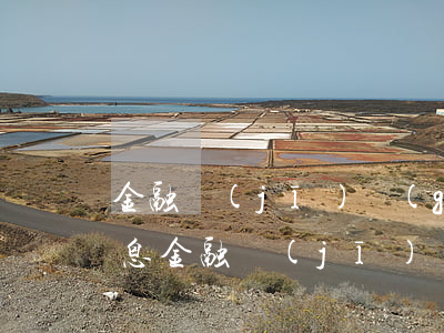 金融機(jī)構(gòu)收逾期貸款利息(金融機(jī)構(gòu)逾期貸款利息標(biāo)準(zhǔn))