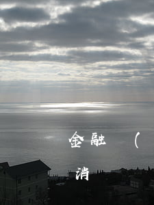 金融機(jī)構(gòu)貸款逾期怎么消