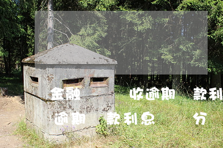 金融機構計收逾期貸款利息-金融機構計收逾期貸款利息會計分錄